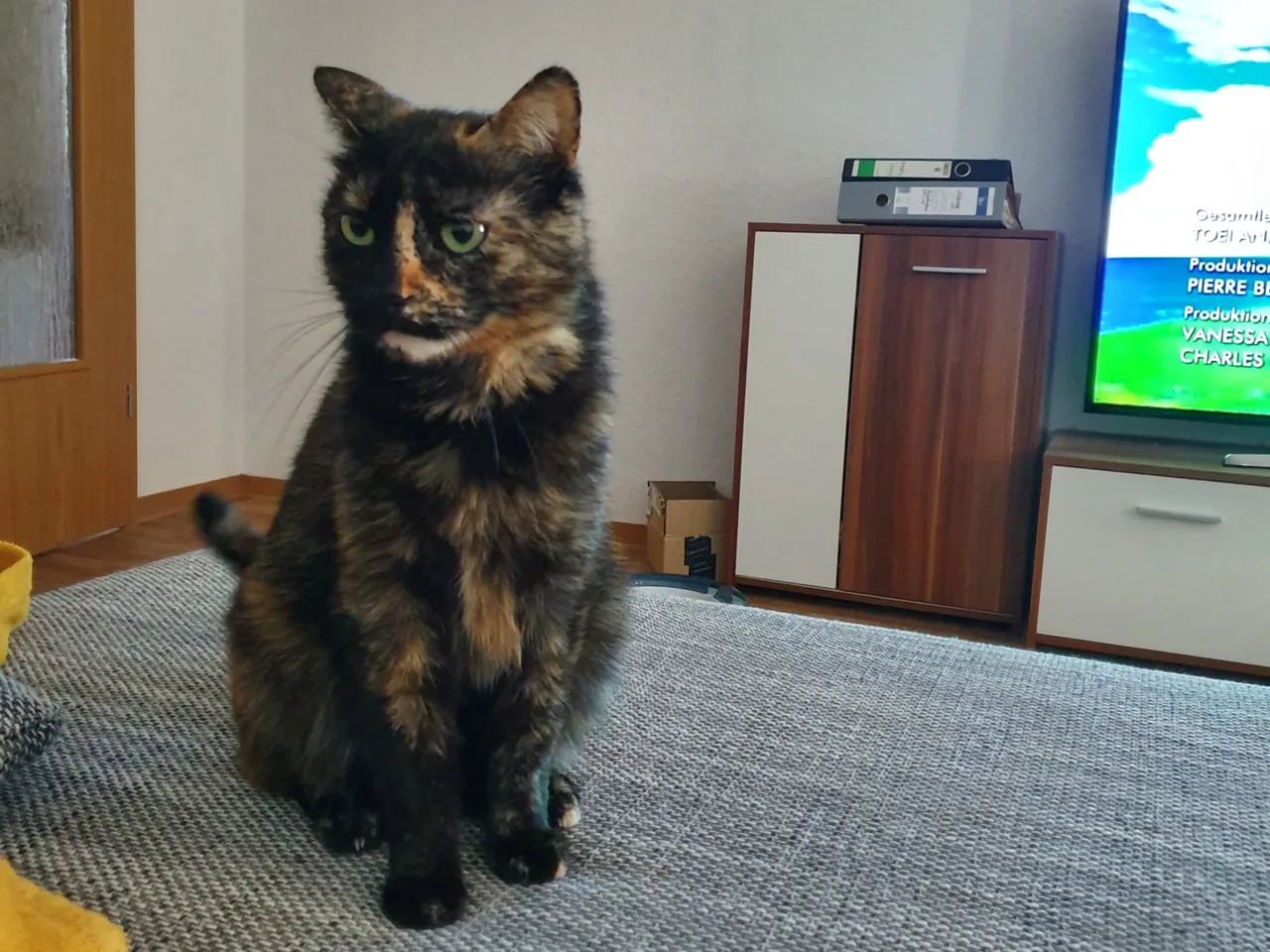 Mia im neuen Zuhause