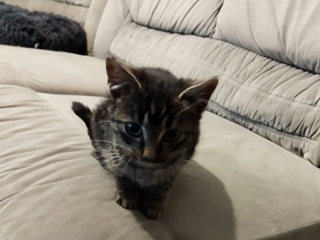 Minimie im neuen Zuhause