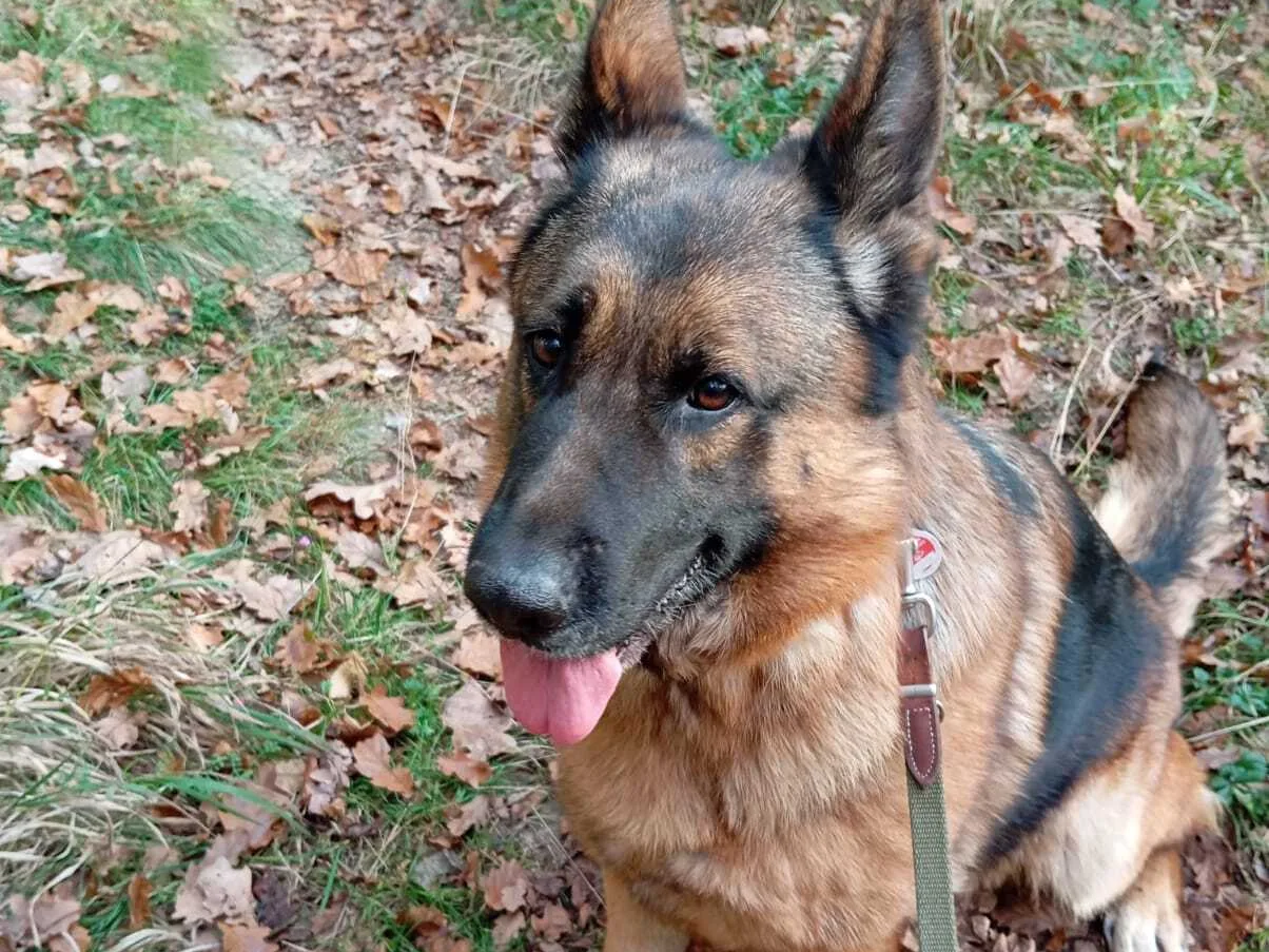Susi im neuen Zuhause