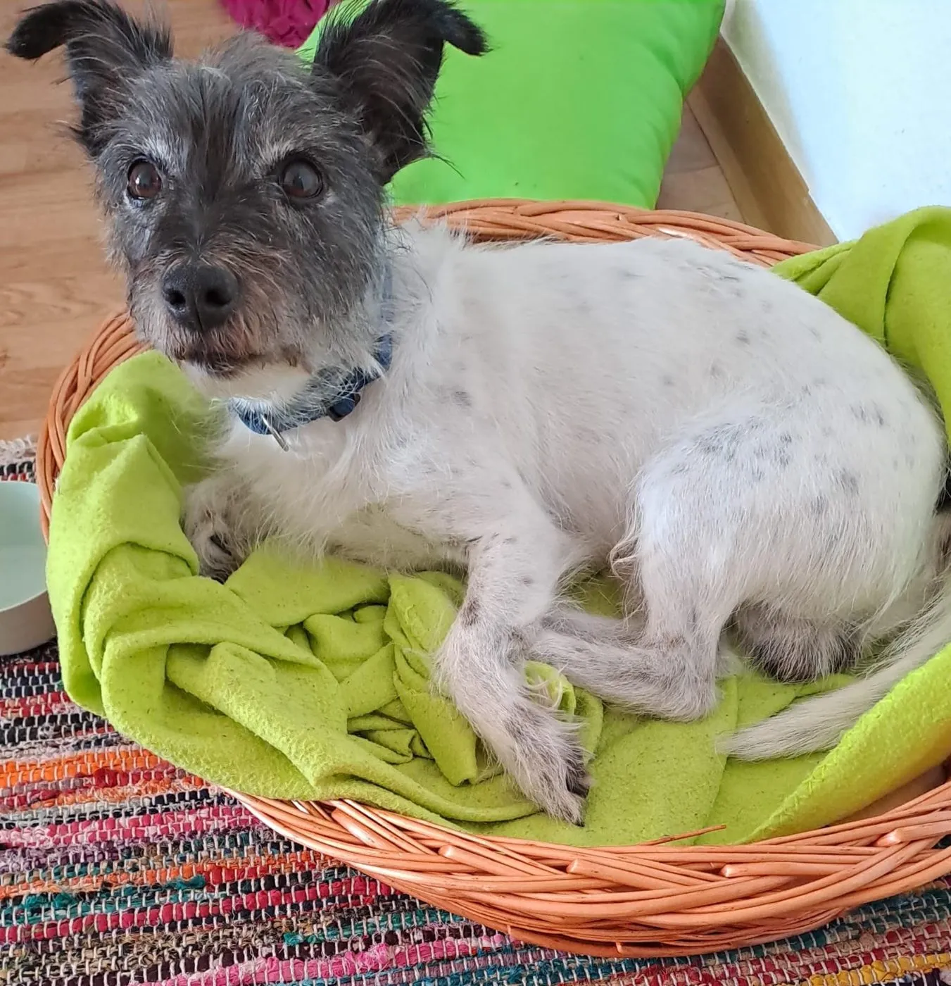 Miro, Foto 3